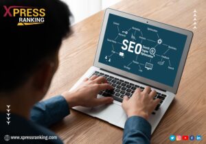 SEO success with Xpress Ranking best SEO agency in the USA